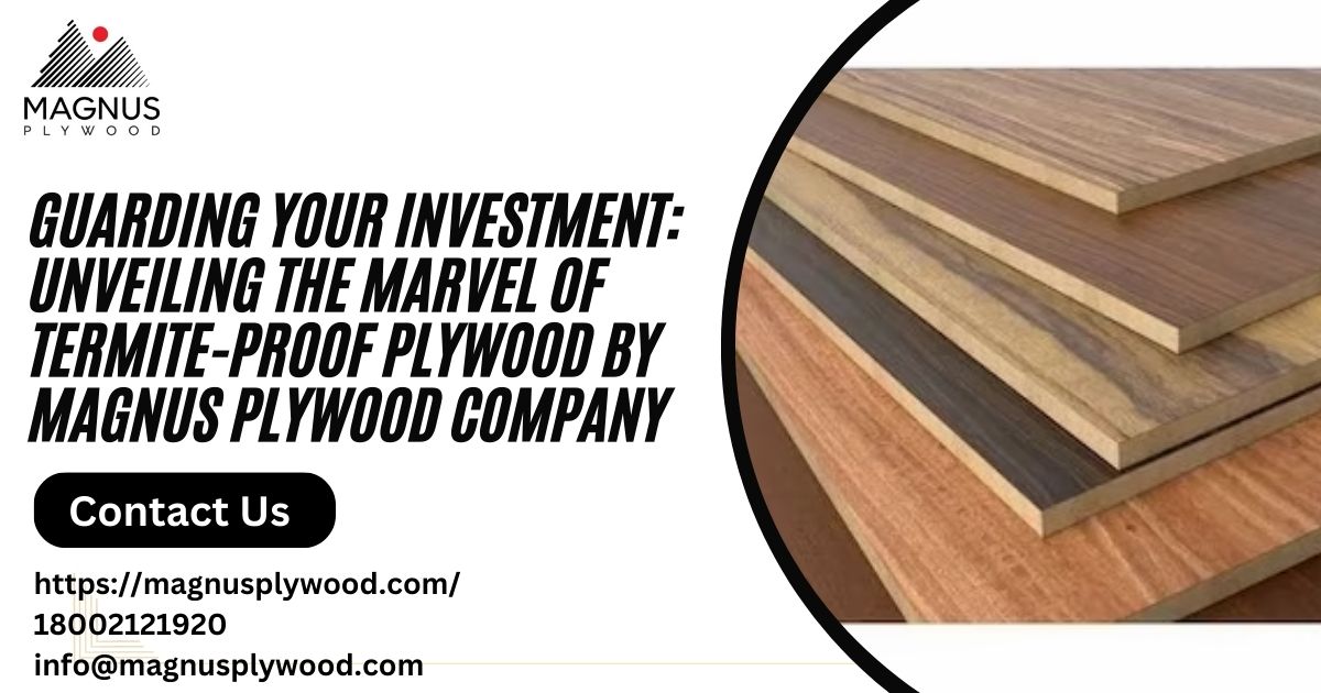Guarding Your Investment: Unveiling the Marvel of Termite-Proof Plywood by Magnus Plywood Company