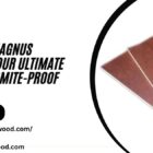 Choosing Magnus Plywood: Your Ultimate Guide to Termite-Proof Excellence