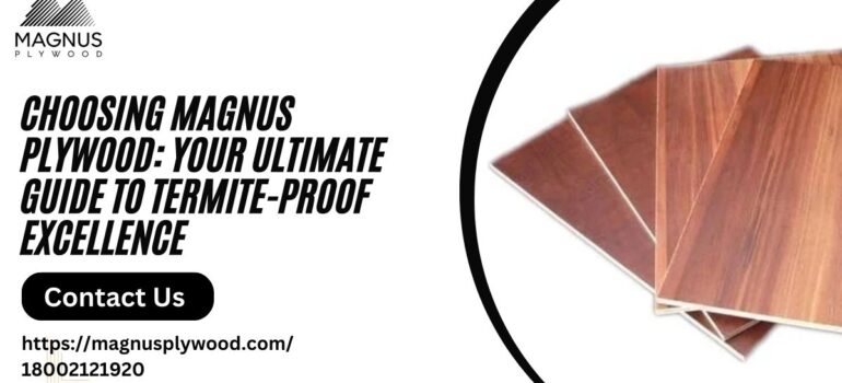 Choosing Magnus Plywood: Your Ultimate Guide to Termite-Proof Excellence
