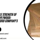 The Unbeatable Strength of Borer-Proof Plywood: Magnus Plywood Company's Finest